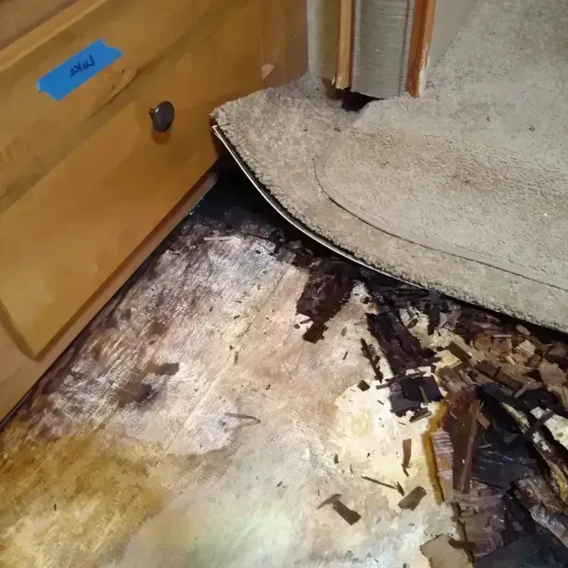 Wood Floor Water Damage in Greater Grand Crossing, IL